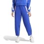 ADIDAS PANTALON JOGGING FRANCE 2024