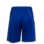 SHORT ENTRAINEMENT FFHB EQUIPE FRANCE 2025 BLEU HOMME ADIDAS