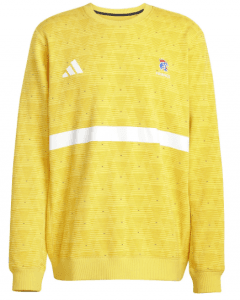 MAILLOT GARDIEN JAUNE EQUIPE DE FRANCE HANDBALL 2025 ADIDAS