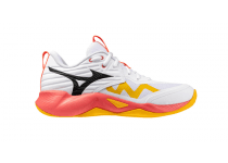 MIZUNO WAVE MOMENTUM PRO
