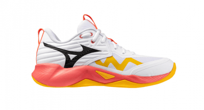 MIZUNO WAVE MOMENTUM PRO