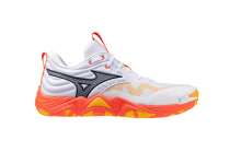 MIZUNO WAVE MOMENTUM ELITE